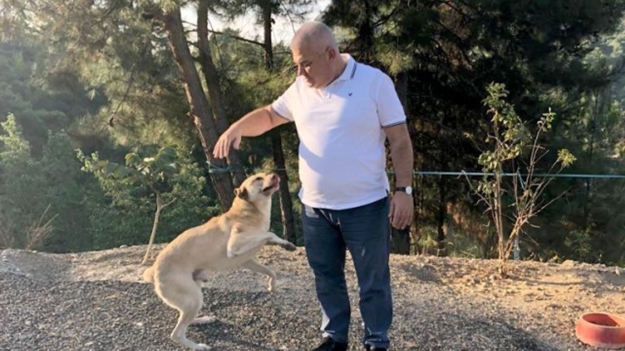 ALTSO Başkanı Şahin'den otel atık yemeklerinden sokak hayvanları için mama projesi