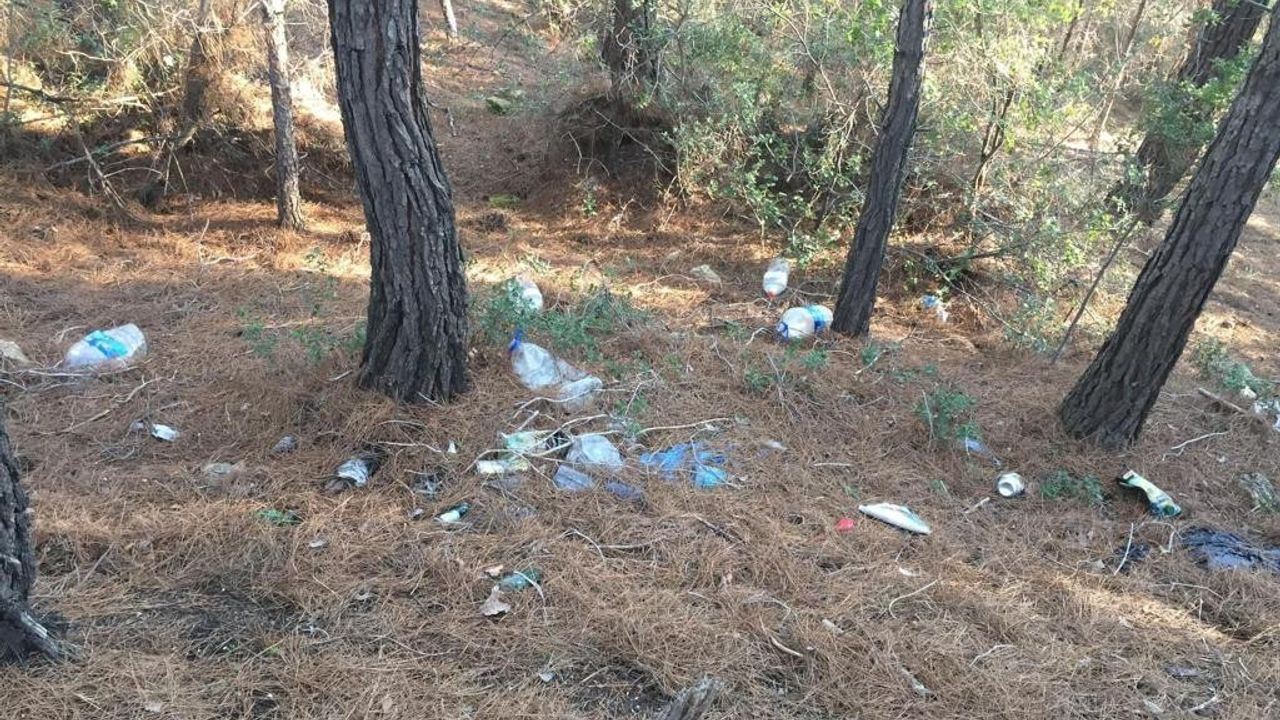 Mantar toplayan vatandaşların bıraktığı çöpler tepki topluyor