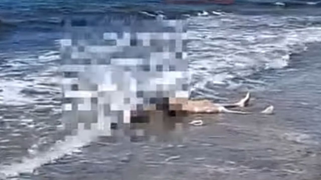 Alanya'da sahilde erkek ceseti bulundu