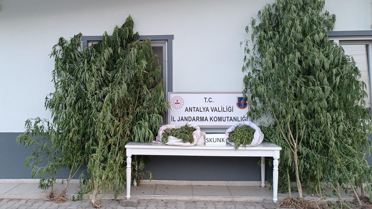 Antalya’da uyuşturucuya geçit yok