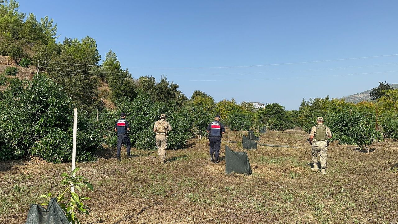 Alanya ve Gazipaşa'da bahçeleri jandarma koruyor
