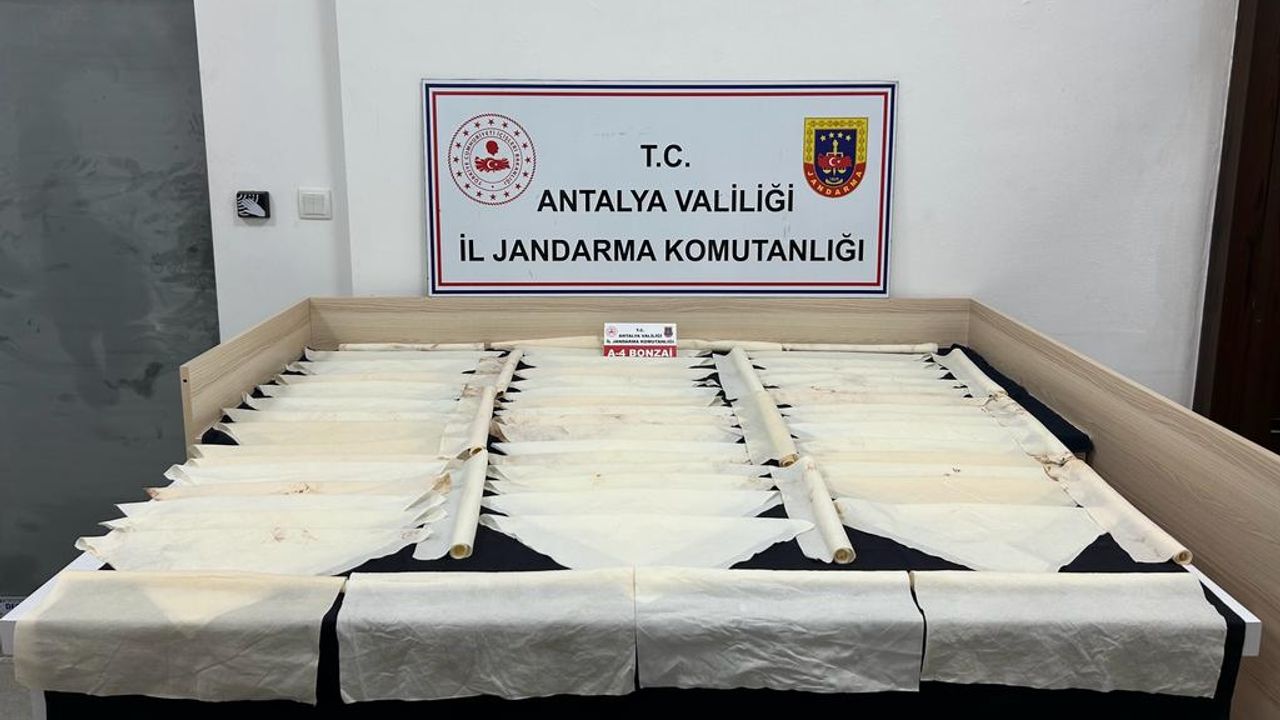 Antalya'da bonzai operasyonu: 3 gözaltı