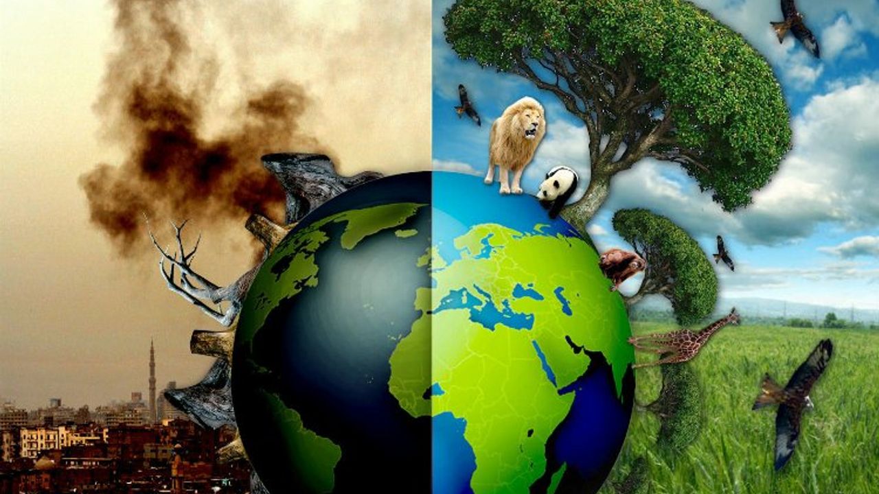TEMA'dan geçen yıla 'çevresel' bakış! 2023'ü öne çıkan iyi ve kötü çevre olayları...