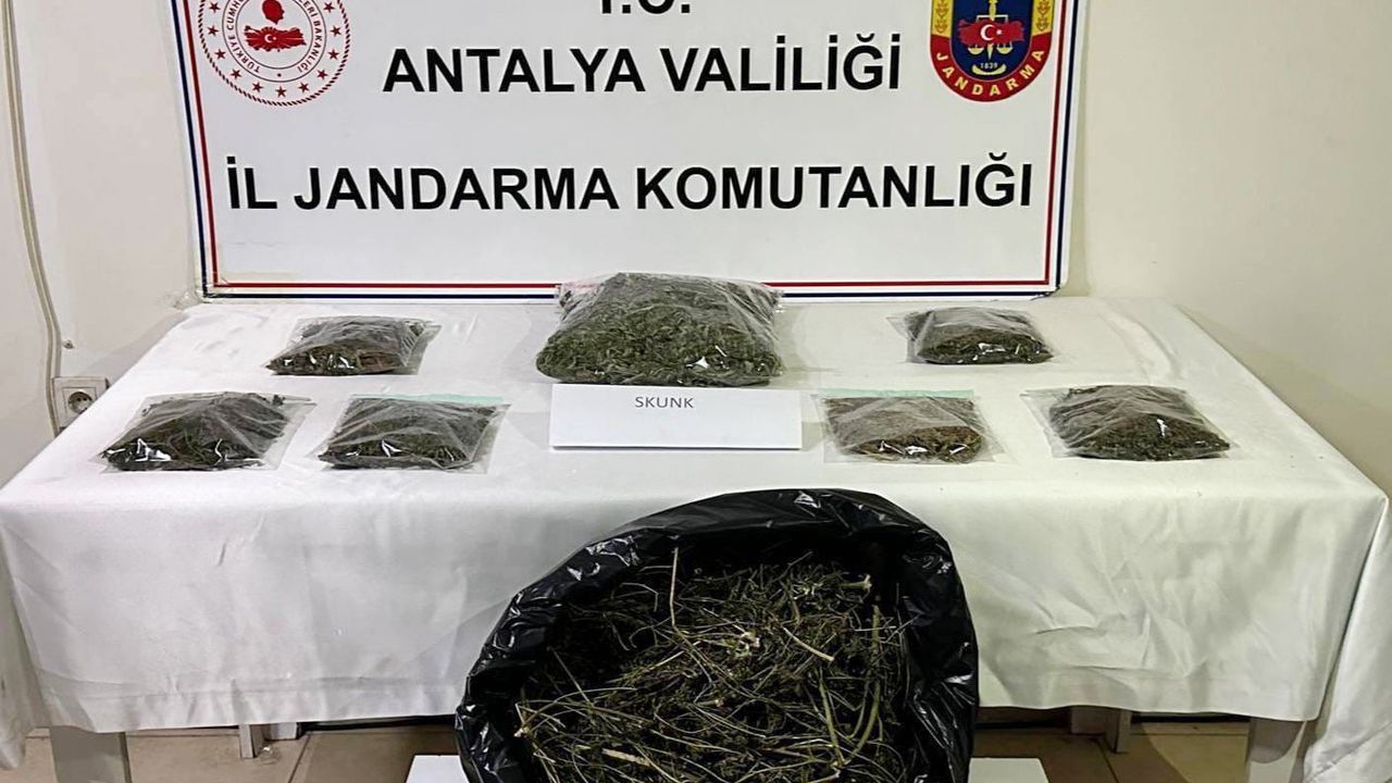 Alanya'da 800 gram esrar ele geçirildi