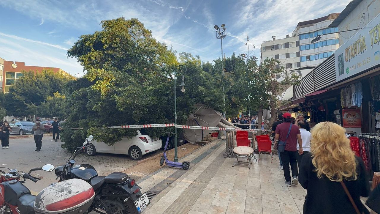 Antalya'da ağaç 5 otomobilin üzerine devrildi