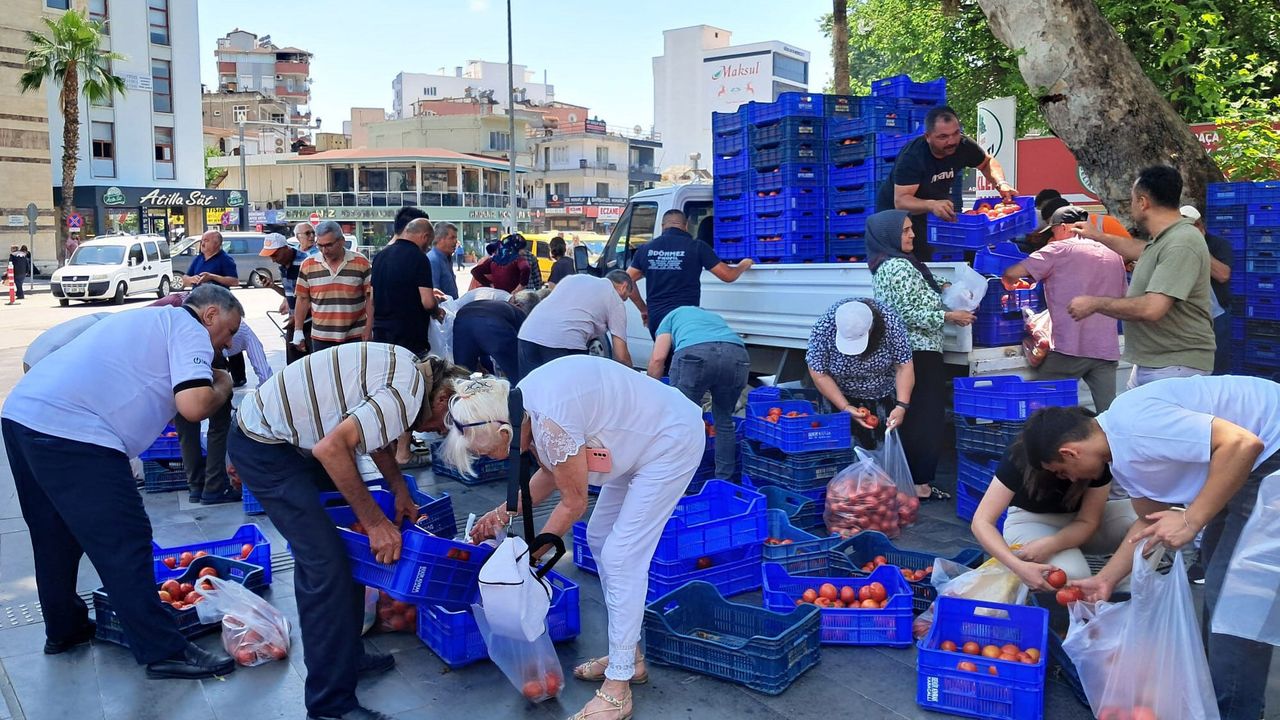 Antalya'da alıcı bulamadığı 4 ton domatesi ücretsiz dağıttı