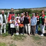 Yamanlar Tarla Domatesi için üreticilerle tarlada buluşuldu