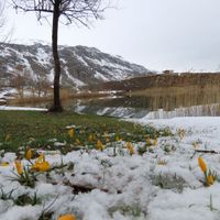 Yaşam