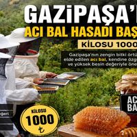 Gazipaşa