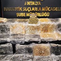 Asayiş