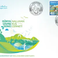 Yaşam