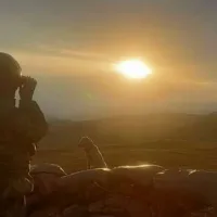 Asayiş