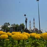 Yaşam