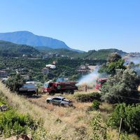 Asayiş