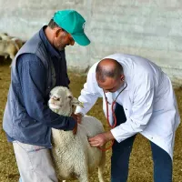 Yaşam