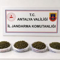 Alanya