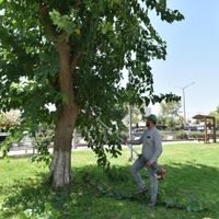 Yaşam