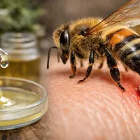 Sağlık