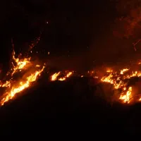 Yaşam