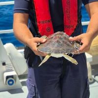 Alanya
