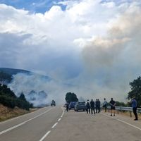 Asayiş