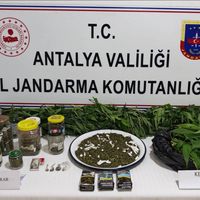 Asayiş