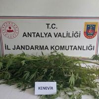 Alanya