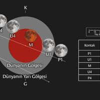 Yaşam