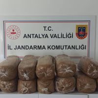 Asayiş