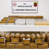 Asayiş