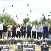 Yaşam
