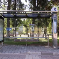 Yaşam