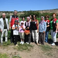 Yaşam
