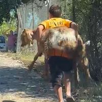 Antalya