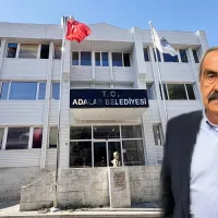 Siyaset
