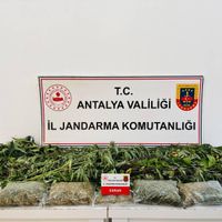 Asayiş