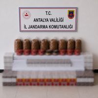 Asayiş
