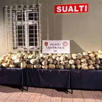 Asayiş