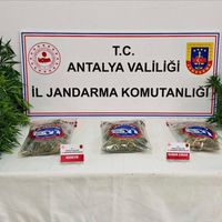 Asayiş