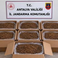 Asayiş
