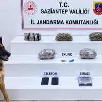 Asayiş