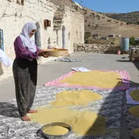 Yaşam