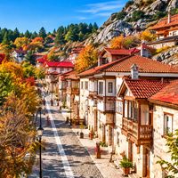 Yaşam