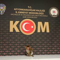 Yaşam