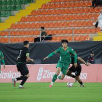 Spor