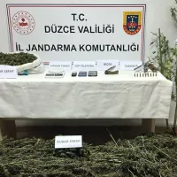 Asayiş