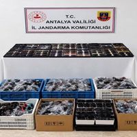 Asayiş