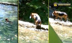 Alanya'da insanlara çevre dersi verdi