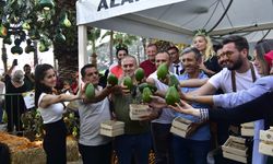 Alanya tropikal meyve festivali büyük beğeni topladı