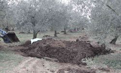 Hayvan gübresinin içinden insan cesedi çıktı